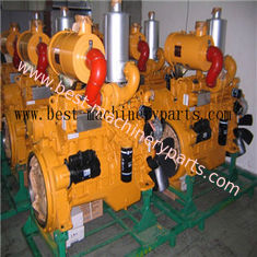 China Shanghai Diesel Engine D6114 engine assy proveedor
