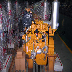 Shanghai Diesel Engine D4114 engine assy proveedor